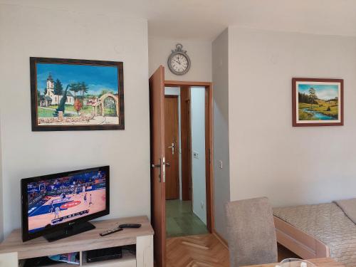 sala de estar con TV y reloj en la pared en Sevojno Studio, en Sevojno