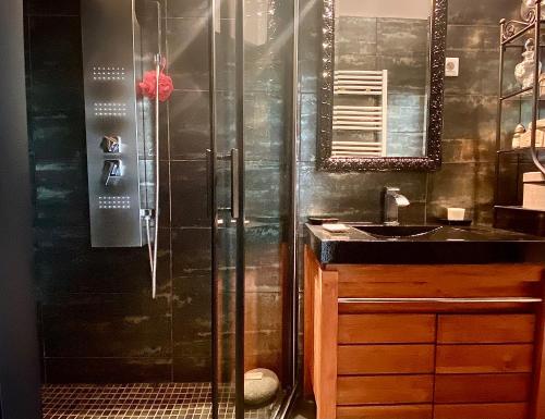 een badkamer met een douche en een wastafel bij Grand Appartement Haussmanien de Standing avec Jacuzzi Terrasse et Parking en Hyper Centre in Bordeaux