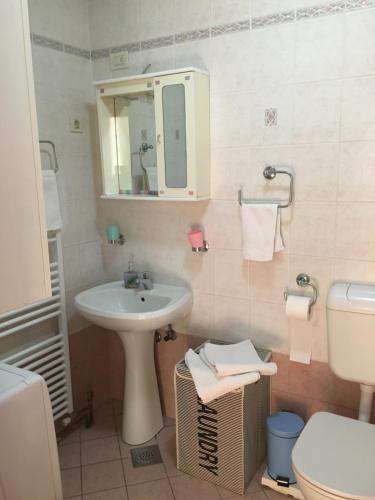 a bathroom with a sink and a toilet and a mirror at Swimming Apartment in Rijeka