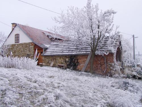 a house covered in snow next to a tree at Holiday Home U Černých Ovcí in Náměšť nad Oslavou