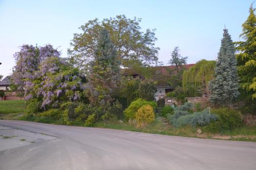 eine leere Straße mit Bäumen und Blumen in einem Hof in der Unterkunft Holiday Home U Černých Ovcí in Náměšť nad Oslavou