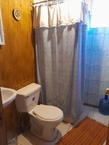 uma casa de banho com um WC e um chuveiro em Camping las islas em Panimávida