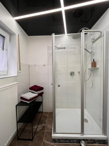 a shower with a glass door in a bathroom at A&D Charmantes Apartment in Bühlertal