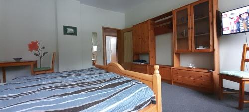 1 dormitorio con 1 cama y TV en Ferienwohnung Musikwinkel en Markneukirchen