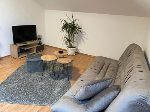 a living room with a couch and a tv at Despot apartmani in Mladenovac