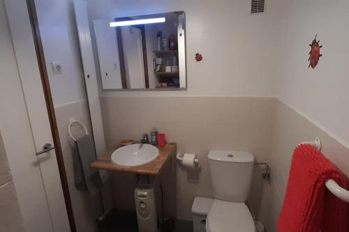 uma casa de banho com um WC, um lavatório e um espelho. em Estudio en pistas em Candanchú