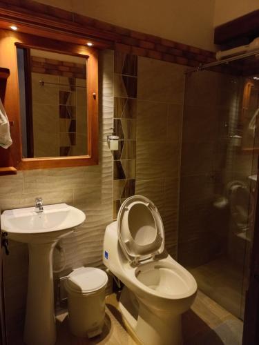 La salle de bains est pourvue de toilettes, d'un lavabo et d'une douche. dans l'établissement Hostal La Casita de Toñito, à Villa de Leyva