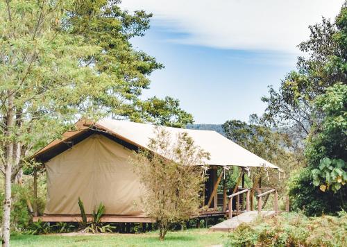 Silk Pavilions Glamping في Mount Burrell: خيمة قماش كبيرة في حقل به أشجار