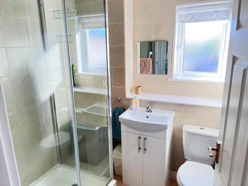 a bathroom with a shower and a toilet and a sink at 2 Brunswick Terrace in Sandown
