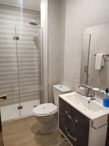 a bathroom with a toilet and a sink and a shower at VFT Doña Elvira in Arjonilla