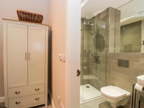 a bathroom with a toilet and a shower at Grizedale in Kendal