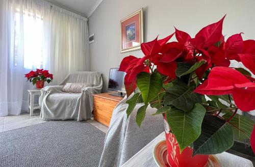a living room with a large red plant in a vase at Voelroepersfontein in Albertinia