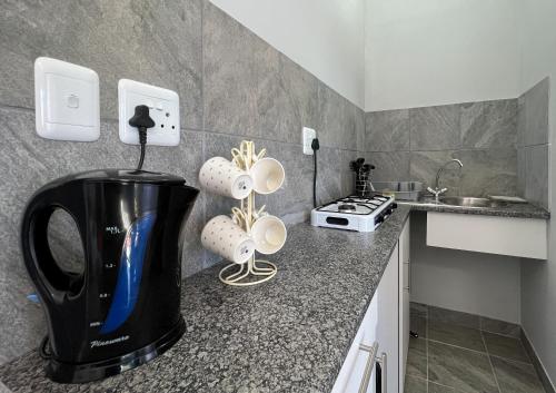 a kitchen with a coffee maker on a counter at Voelroepersfontein in Albertinia