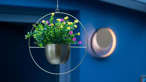 a hanging pot of flowers in a mirror at Hotel Metropol in Tübingen