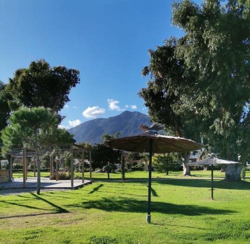 a park with an umbrella in the grass at Esperanza in Moriani Plage