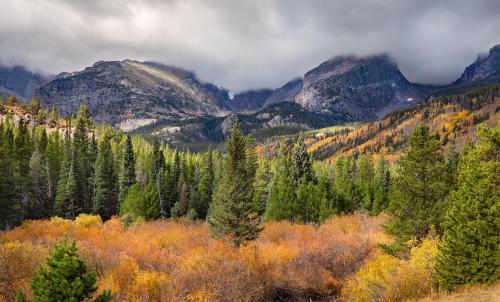 a forest of trees with mountains in the background at Family-friendly Home on Boyd Lake, Gorgeous Views! in Loveland