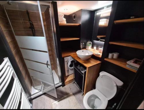 a small bathroom with a toilet and a sink at Une fenêtre sur l océan, Studio duplex dans résidence de standing avec piscine et vue sur mer in Le Croisic