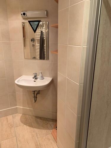 ein Bad mit einem Waschbecken und einem Spiegel in der Unterkunft Kathrin`s Appartment in Oelsnitz