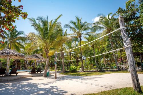 a volley ball net on the beach with palm trees at Aya Beach Resort in Kizimkazi