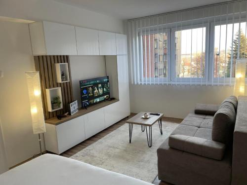 a living room with a couch and a tv at OPTIMUM 1 apartment - One bedroom - in core city center in Zenica