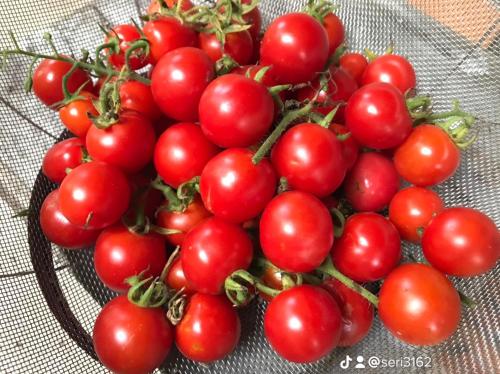 カントリーハウスの敷地内または近くでの食事または食べ物