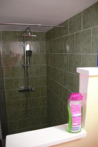 a shower in a bathroom with a green tile wall at Studio tout confort dans maison de caractère in La Bastide