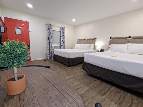 a hotel room with two beds and a potted plant at The Honey Bee Motel in Dunlap