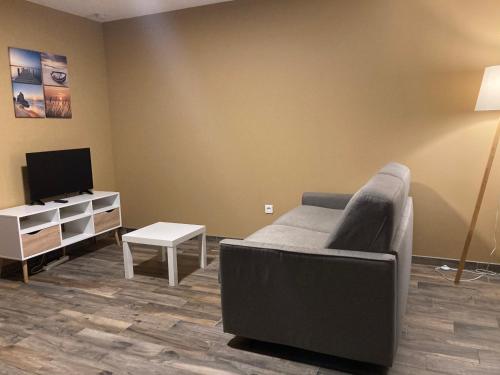 un salon avec un canapé et une télévision dans l'établissement Le Grand Fabre, à La Roche-sur-Yon