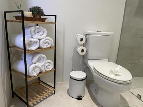 a bathroom with a toilet and towels on a shelf at Perfect combination between nature and fun in Jacó