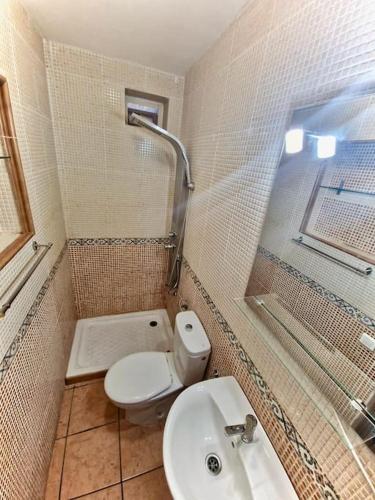 a bathroom with a toilet and a sink and a shower at Cozy Apartment With Garden in Puerto Rico de Gran Canaria