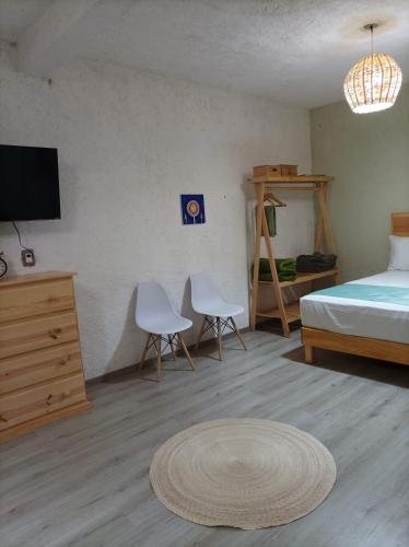a bedroom with a bed and two chairs and a television at Alojamiento el nixtamal in Oaxaca City