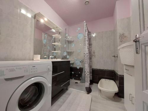 une salle de bain avec machine à laver et toilettes dans l'établissement Beau jardin proche randonnée ski calme plain pied, à Auzat