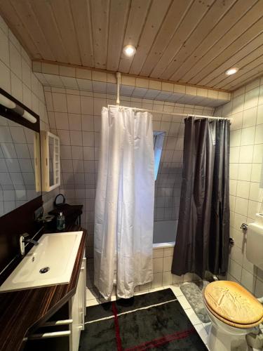 y baño con cortina de ducha y aseo. en Anno 1919 en Núremberg