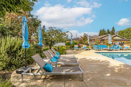 Treehaven Paradise – Photos 4