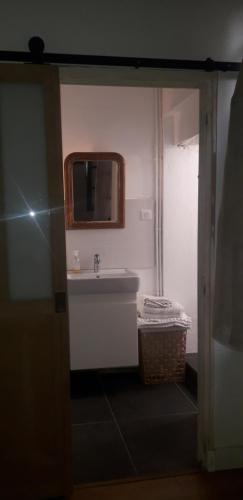 une salle de bain avec un lavabo et un miroir dans l'établissement Appartement cosy au coeur du centre historique., à Arles