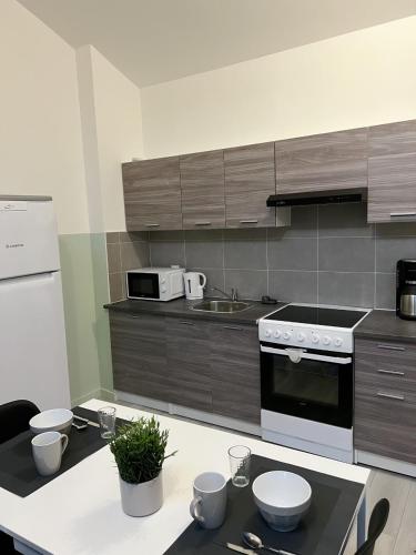 une cuisine avec une cuisinière et un comptoir dans l'établissement Appartement du Château, à Lunéville