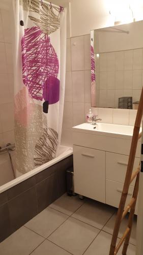 une salle de bain avec un lavabo et une douche avec un miroir dans l'établissement Beau T3 70m2 Ajaccio, à Ajaccio