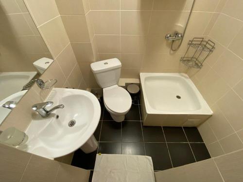 a bathroom with a toilet and a sink at Горный дом ЛЕС и ГОРЫ Dinarsky in Karakol
