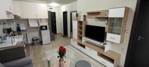 Телевизия и/или развлекателен център в Апартамент за гости Таня