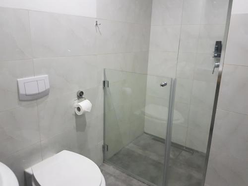 a bathroom with a toilet and a glass shower at Apartament Elbląg Stare Miasto - Old Town in Elblag