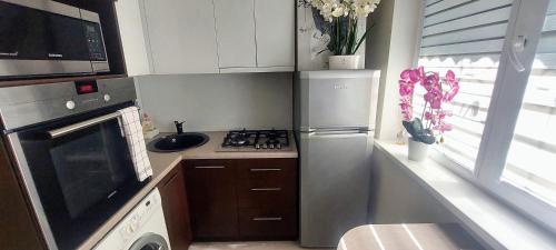 Una pequeña cocina con estufa y refrigerador. en Apartment next to Cathedral of Saints Peter & Paul, en Šiauliai