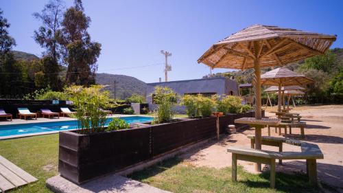 un grupo de mesas y sombrillas junto a una piscina en cabañas laguna de zapallar maitencillo, en Zapallar