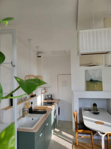 Kuchyň nebo kuchyňský kout v ubytování Appartement La verrerie, terrasse et jardinet