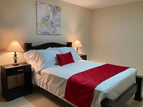 a bedroom with a large bed with a red pillow at Hospedaje Ana Lu, Only 10 minutes from airport in Alajuela