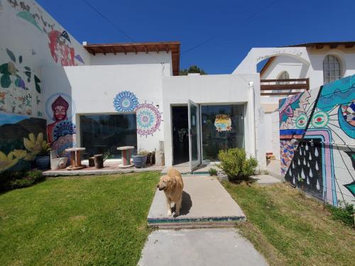 a dog standing in front of a house with graffiti at Roots Backpackers in Rada Tilly