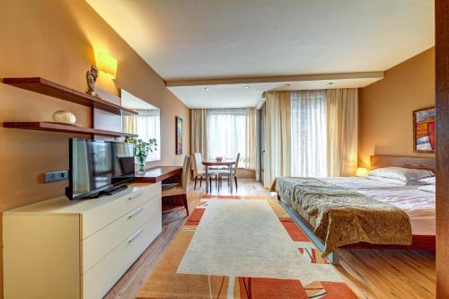 Habitación de hotel con cama y TV de pantalla plana. en Апартаменти Свети Трифон, en Pamporovo