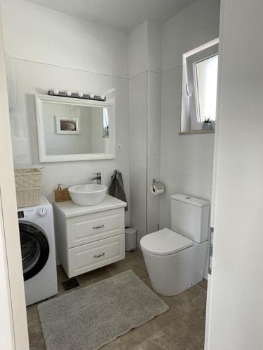 a bathroom with a toilet sink and a washing machine at Island Brac - Villa Vita in Nerežišće