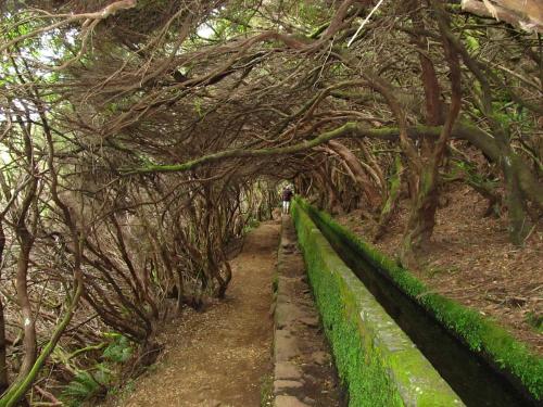 Κήπος έξω από το Beautiful View 2 - Arco da Calheta - Ilha da Madeira