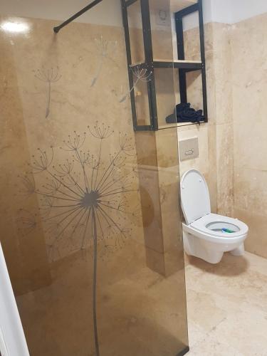 a bathroom with a shower with a toilet in it at Rengo Residence in Târgovişte