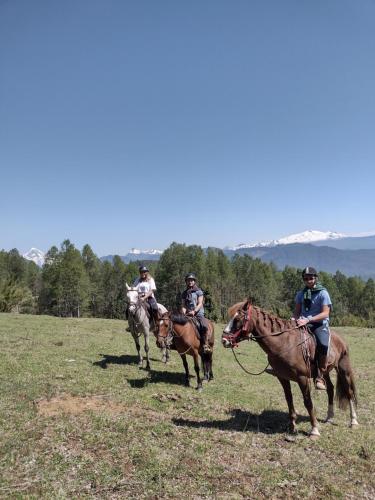 un grupo de personas montando caballos en un campo en Habitación Establo de Caballos, en Curarrehue